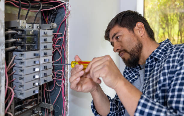 Best Local Electrician Companies  in Dillsburg, PA